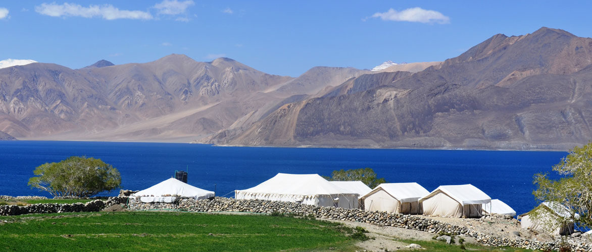 Tsermang Eco Camp, Leh